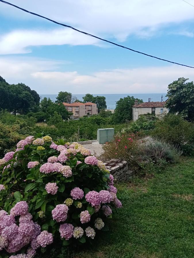 Apartamento Kandilari *